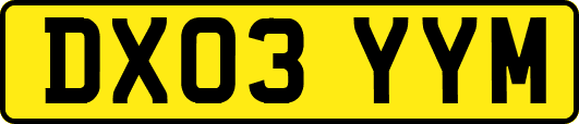 DX03YYM