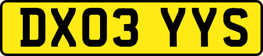 DX03YYS