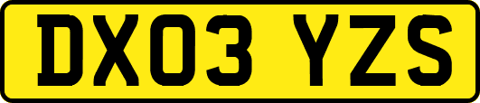 DX03YZS