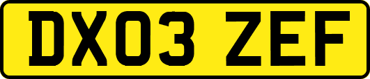 DX03ZEF