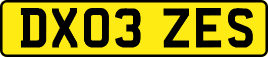 DX03ZES