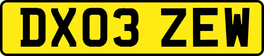 DX03ZEW