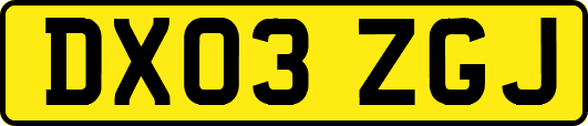DX03ZGJ