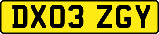 DX03ZGY