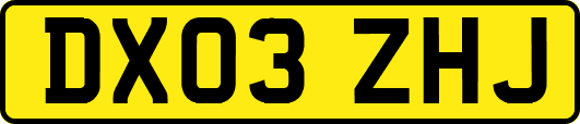 DX03ZHJ