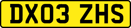 DX03ZHS