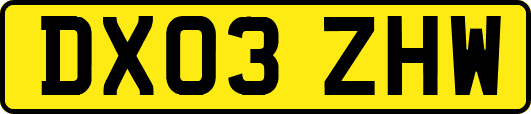 DX03ZHW