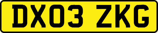 DX03ZKG
