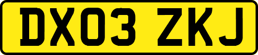 DX03ZKJ