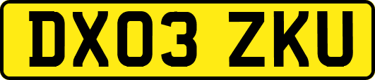 DX03ZKU