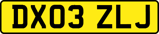 DX03ZLJ