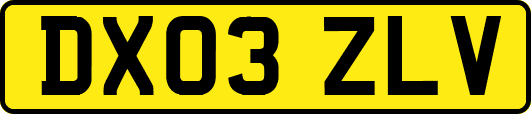 DX03ZLV