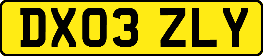 DX03ZLY