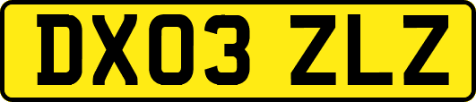 DX03ZLZ