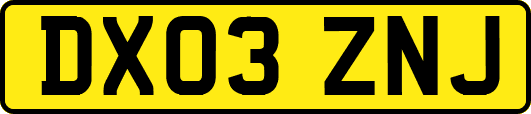 DX03ZNJ