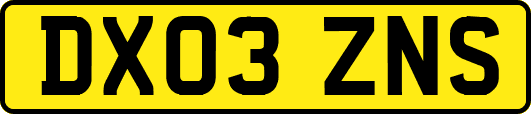 DX03ZNS