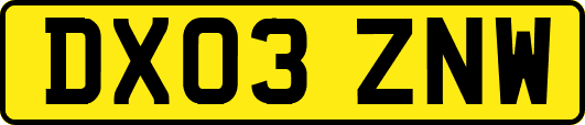 DX03ZNW