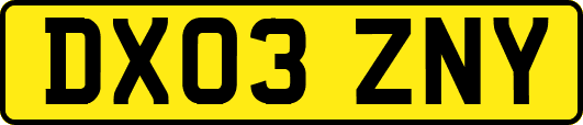 DX03ZNY