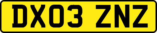 DX03ZNZ