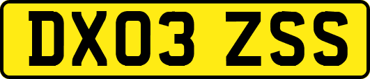 DX03ZSS