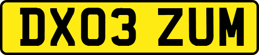 DX03ZUM