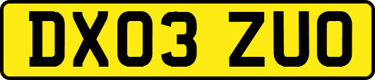 DX03ZUO