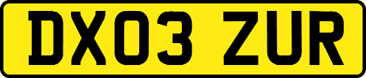 DX03ZUR
