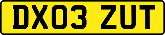DX03ZUT