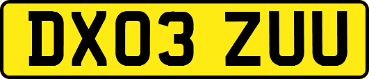 DX03ZUU
