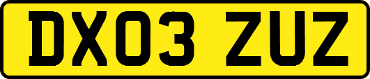 DX03ZUZ