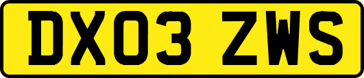 DX03ZWS