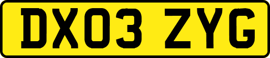 DX03ZYG
