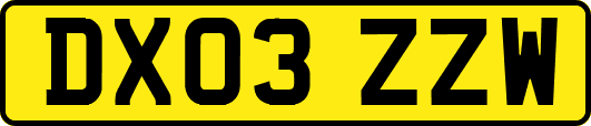 DX03ZZW