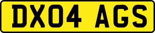 DX04AGS