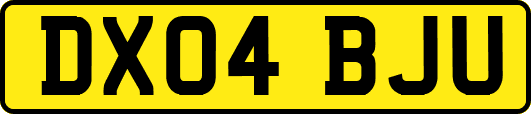 DX04BJU