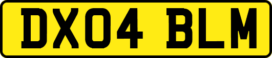 DX04BLM