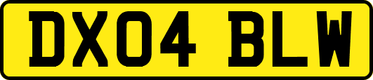 DX04BLW
