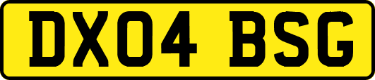 DX04BSG