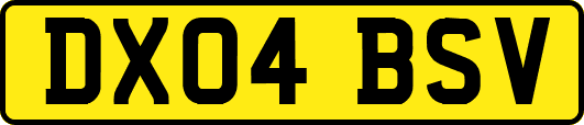 DX04BSV