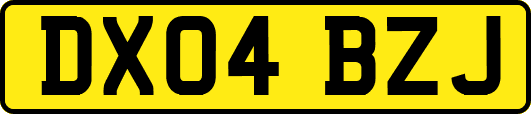 DX04BZJ