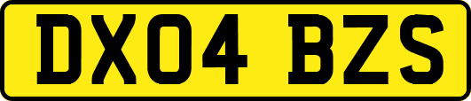 DX04BZS