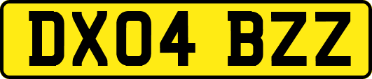 DX04BZZ