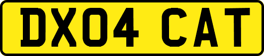 DX04CAT