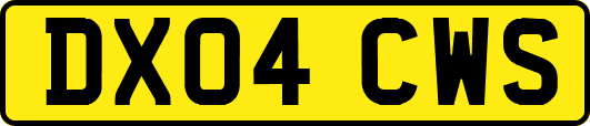 DX04CWS
