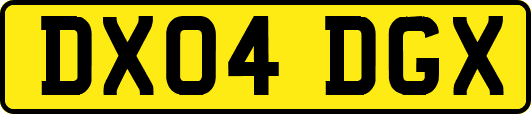 DX04DGX