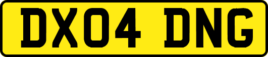 DX04DNG