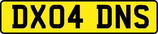 DX04DNS