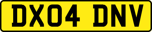 DX04DNV
