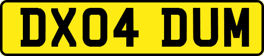 DX04DUM