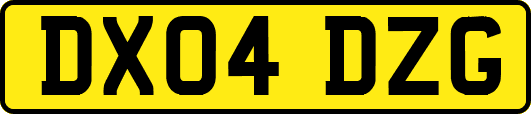 DX04DZG